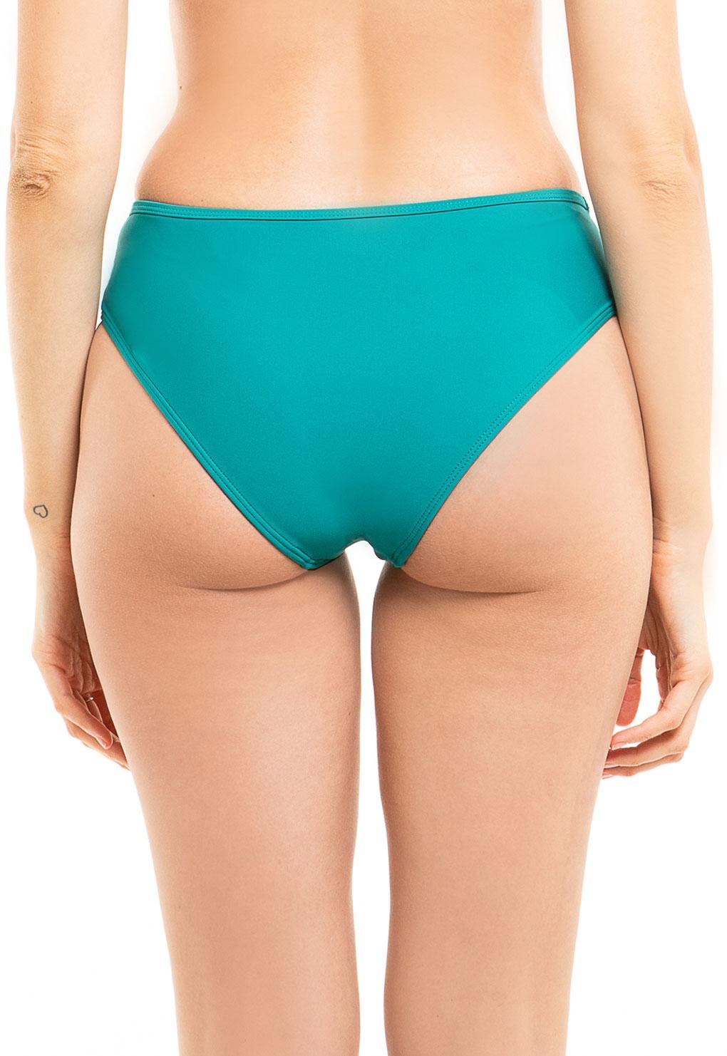 Green sheer bikini briefs